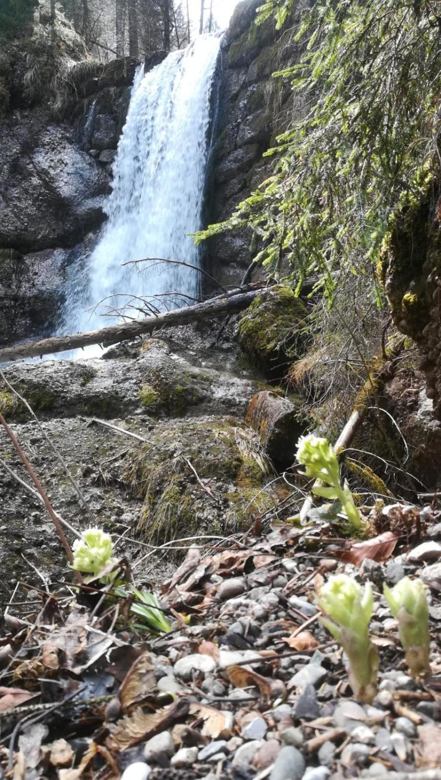 Ferienwohnung Alpenfreude Missen-Wilhams Exterior foto