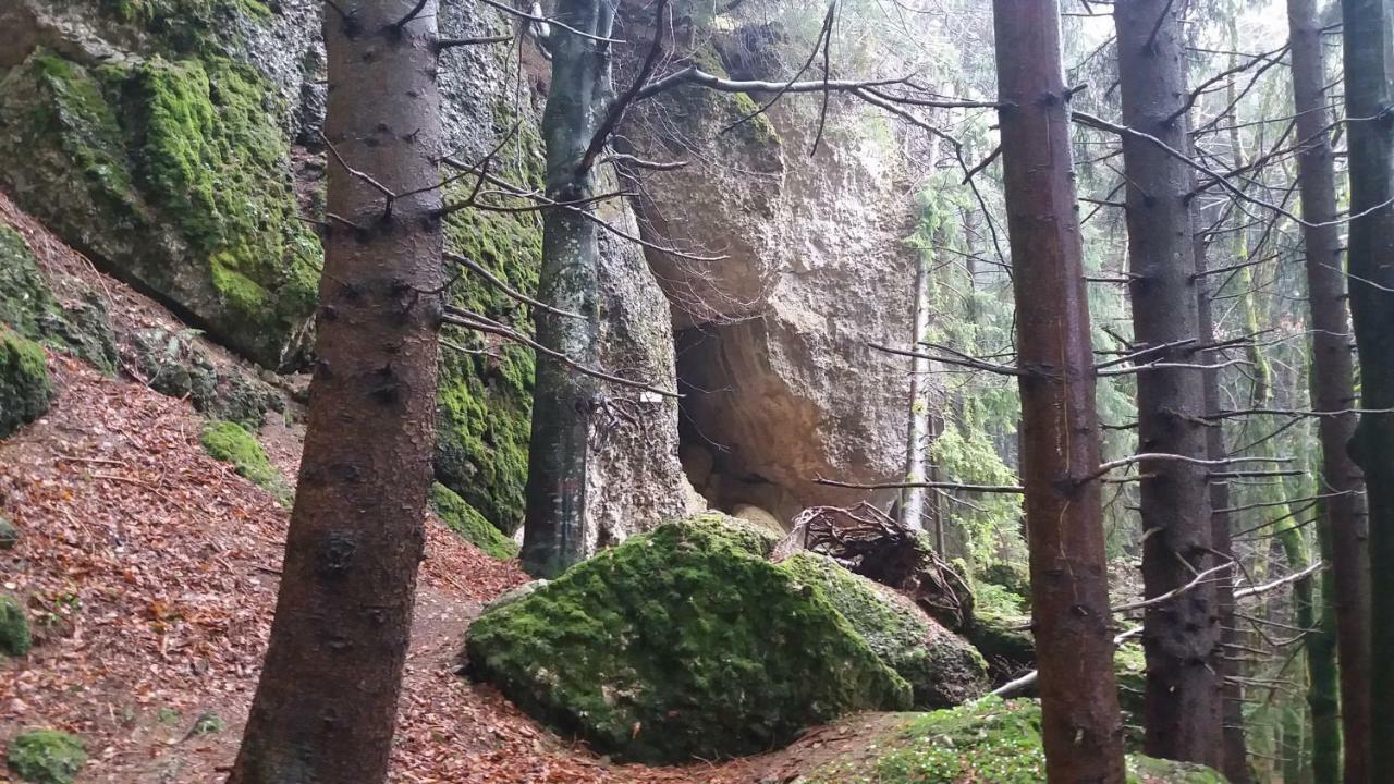 Ferienwohnung Alpenfreude Missen-Wilhams Exterior foto