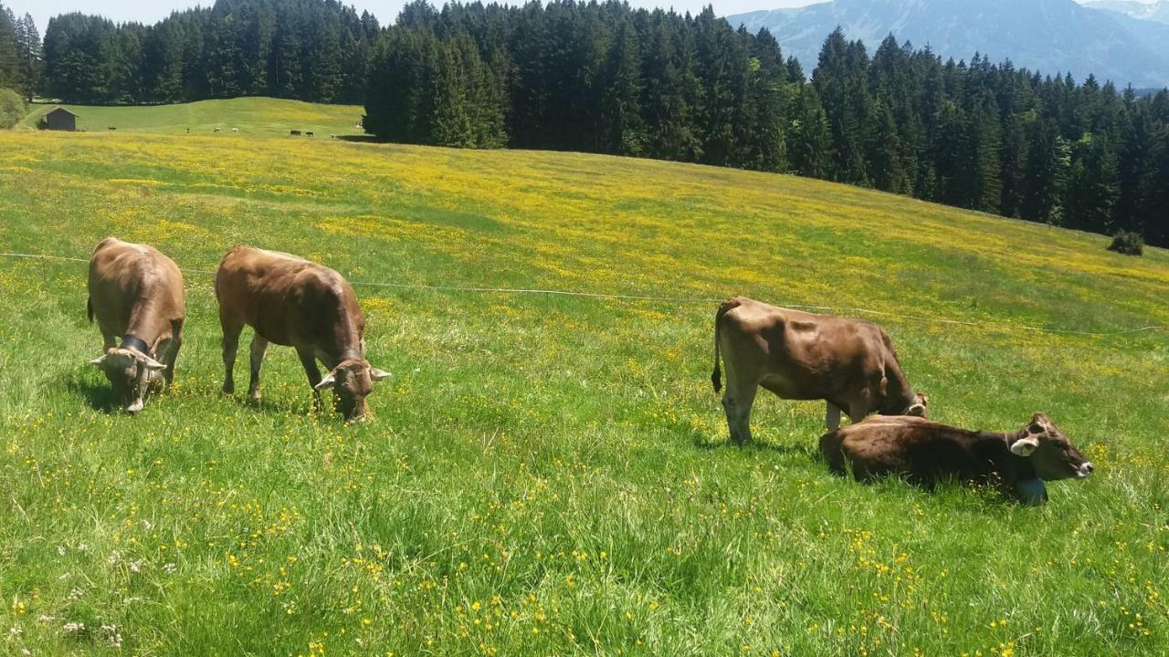 Ferienwohnung Alpenfreude Missen-Wilhams Exterior foto